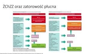 Żylna choroba zakrzepowo-zatorowa w ciąży: ryzyko i profilaktyka