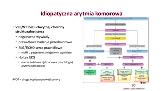 Morfologie arytmii i rozpoznanie drogi odpływu