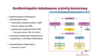 Arytmia jako przyczyna kardiomiopatii i kryteria obciążenia