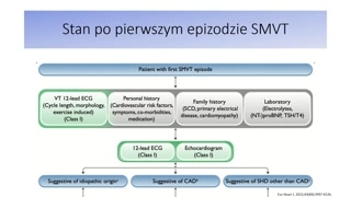 Częstoskurcze komorowe i wstęp do prewencji pierwotnej