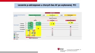 Strategie długości terapii i badanie PEGASUS
