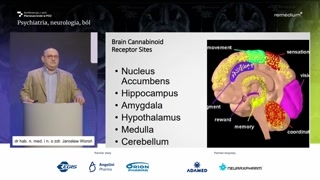 Mechanizmy działania: układ endokannabinoidowy i opioidowy