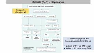 Diagnostyka: serologia, genetyka i klasyfikacja Marsh'a