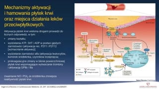 Receptory płytek i przegląd leków przeciwpłytkowych