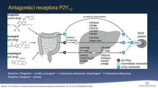 Aspiryna, inhibitory P2Y12 i inhibitory GP2B3A
