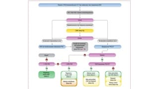 Spektrum objawów klinicznych i czynniki prowokujące
