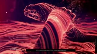 Interleukina trzynasta — rola w AZS i mechanizm działania Epglis