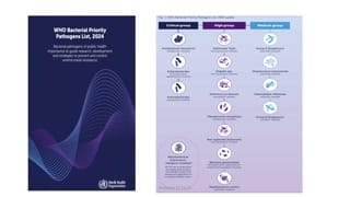 Mechanizmy rozprzestrzeniania oporności i rekomendacje WHO