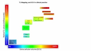 Rezonans magnetyczny i możliwości ilościowej oceny scyntygrafii