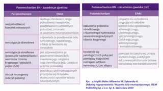 Patomechanizm bólu neuropatycznego i mechanizmy sensytyzacji
