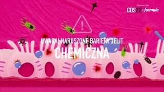 Mikrobiota jelitowa i jej znaczenie dla organizmu
